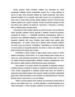 Referāts 'Zināšanu konversijas modeļi', 6.