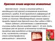 Prezentācija 'Подводный мир земли', 2.