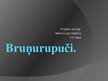 Prezentācija 'Projekts par bruņurupučiem', 1.