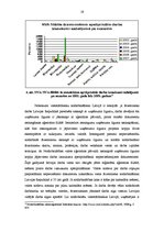 Referāts 'Latvijas darba tirgus ieguvumi un zaudējumi no integrācijas Eiropas Savienībā', 19.