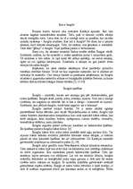 Konspekts 'Šungīts', 1.