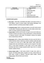 Biznesa plāns 'SIA "Pieskāriens"', 10.