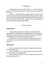 Biznesa plāns 'SIA "Pieskāriens"', 16.