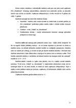 Biznesa plāns 'SIA "Pieskāriens"', 21.