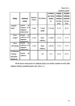 Biznesa plāns 'SIA "Pieskāriens"', 22.