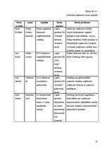 Biznesa plāns 'SIA "Pieskāriens"', 29.