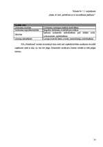 Biznesa plāns 'SIA "Pieskāriens"', 33.