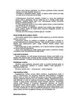 Konspekts 'Apmetēju darbos izmantojamie instrumenti un ierīces', 7.