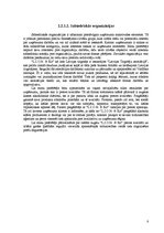 Referāts 'Uzņēmuma "L.I.O.N. & KO" tirgus izpēte', 8.