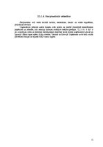 Referāts 'Uzņēmuma "L.I.O.N. & KO" tirgus izpēte', 12.