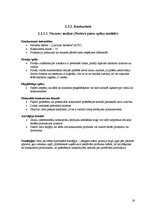 Referāts 'Uzņēmuma "L.I.O.N. & KO" tirgus izpēte', 20.