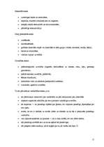 Referāts 'Jauniešu izpratne par vardarbību ģimenē', 17.