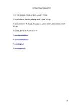 Referāts 'Jauniešu izpratne par vardarbību ģimenē', 29.