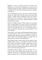 Eseja 'Digitālās realitātes valodas: tehnoloģiju ietekme uz cilvēka komunikāciju', 1.