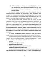 Referāts 'Brīvās ekonomiskās zonas', 7.