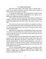 Referāts 'Brīvās ekonomiskās zonas', 13.