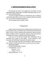 Referāts 'Brīvās ekonomiskās zonas', 17.