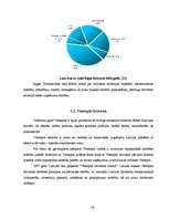 Referāts 'Brīvās ekonomiskās zonas', 19.