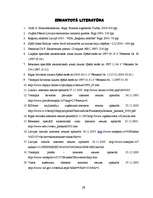 Referāts 'Brīvās ekonomiskās zonas', 26.