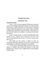 Referāts 'Peļņas maksimizēšana monopola apstākļos', 8.