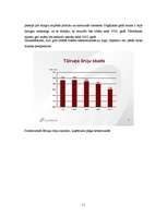 Referāts 'Peļņas maksimizēšana monopola apstākļos', 11.