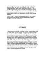 Prakses atskaite 'Māsas darbs un loma, aprūpējot pacientu ar iespējamiem šķidruma uzņemšanas un iz', 8.