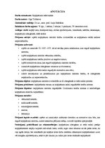 Diplomdarbs 'Kopīpašuma reālā sadale', 2.