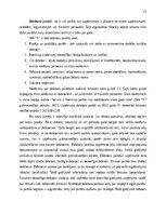 Prakses atskaite 'Kvalifikācijas prakses atskaite', 17.