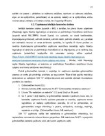 Prakses atskaite 'Kvalifikācijas prakses atskaite', 29.