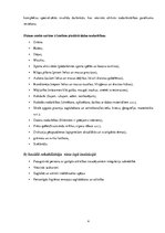 Paraugs 'Dienas aprūpes un rehabilitācijas centrs "Cerību ligzda"', 4.