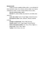 Referāts 'Latvija 19.gadsimtā', 11.