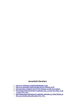 Referāts 'Latvija 19.gadsimtā', 14.