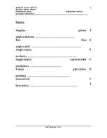 Referāts 'Anglosakšu tiesības agrīnajos viduslaikos (600. - 1066.)', 2.