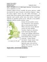 Referāts 'Anglosakšu tiesības agrīnajos viduslaikos (600. - 1066.)', 6.