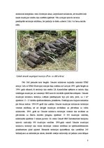 Referāts 'Pamestas un piesārņotas teritorijas', 8.