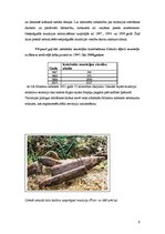 Referāts 'Pamestas un piesārņotas teritorijas', 9.