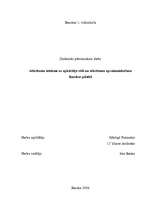 Referāts 'Atkritumu ietekme uz apkārtējo vidi un atkritumu apsaimniekošana Bauskas pilsētā', 1.