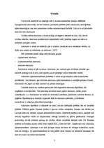 Referāts 'Atkritumu ietekme uz apkārtējo vidi un atkritumu apsaimniekošana Bauskas pilsētā', 3.