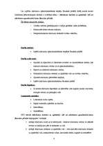 Referāts 'Atkritumu ietekme uz apkārtējo vidi un atkritumu apsaimniekošana Bauskas pilsētā', 4.