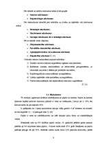 Referāts 'Atkritumu ietekme uz apkārtējo vidi un atkritumu apsaimniekošana Bauskas pilsētā', 6.