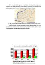 Referāts 'Atkritumu ietekme uz apkārtējo vidi un atkritumu apsaimniekošana Bauskas pilsētā', 19.