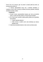 Referāts 'Atkritumu ietekme uz apkārtējo vidi un atkritumu apsaimniekošana Bauskas pilsētā', 24.