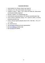 Referāts 'Atkritumu ietekme uz apkārtējo vidi un atkritumu apsaimniekošana Bauskas pilsētā', 26.