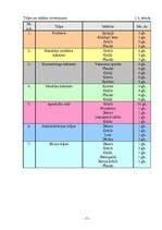 Biznesa plāns 'SIA "Frēzija"', 9.