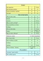 Biznesa plāns 'SIA "Frēzija"', 13.