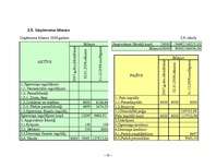 Biznesa plāns 'SIA "Frēzija"', 25.