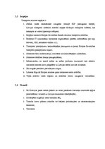 Referāts 'Transporta nozares apskats no 2004.-2009.gadam', 12.