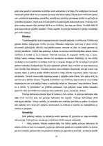 Referāts 'Cilvēku sastarpējās uztveres un sapratnes procesa nozīme policijas darbā', 10.