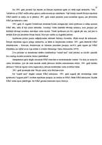 Referāts 'Aukstais karš', 19.