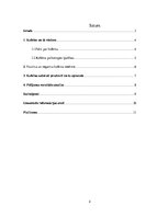 Referāts 'Kofeīns pārtikā', 2.